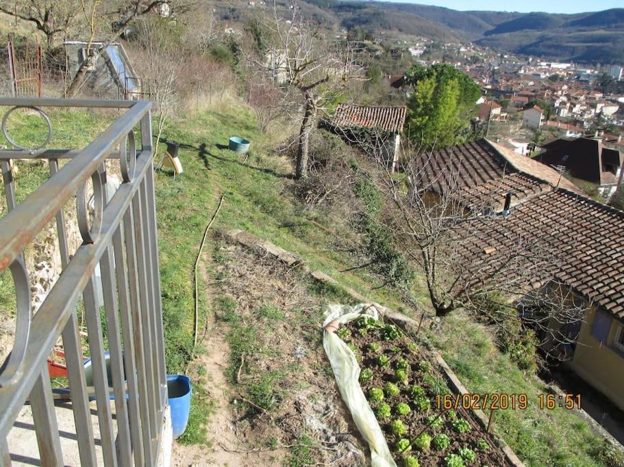 Maison De Vigne Renovee Saint-Affrique Bagian luar foto